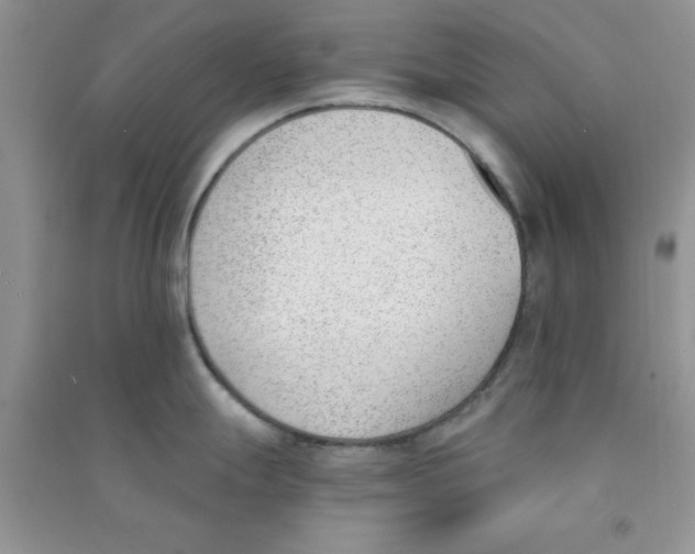 X0000090741247200708172001