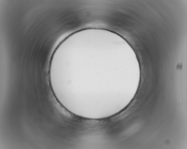 X0000090741248200708172001