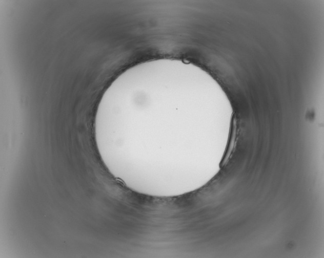 X0000090741249200708172001