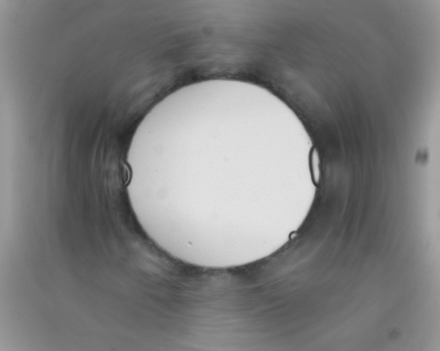 X0000090741250200708172001