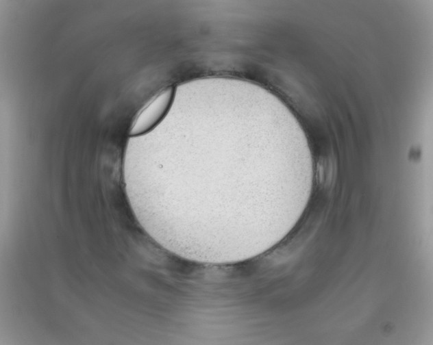 X0000090741251200708172000