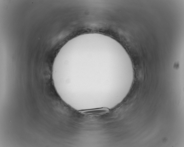 X0000090741253200708172000