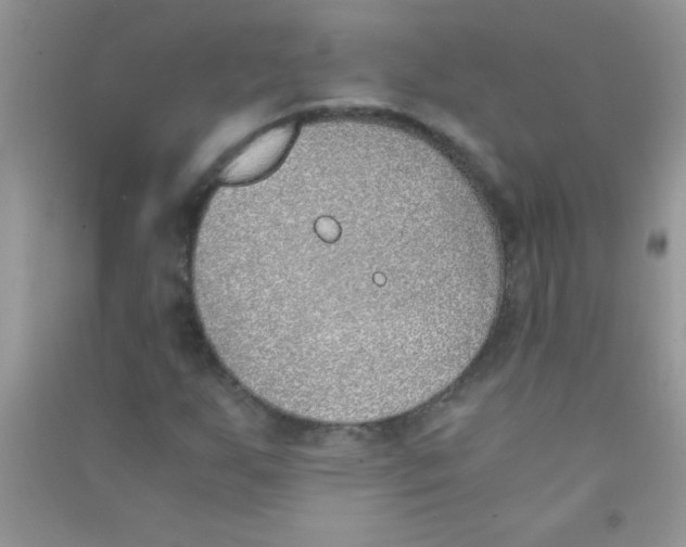 X0000090741255200708172000