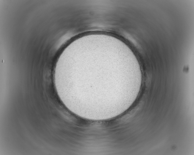 X0000090741259200708172000