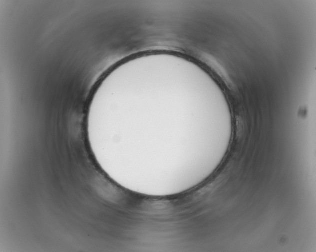 X0000090741260200708172000