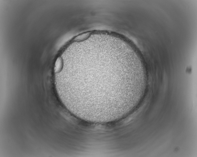 X0000090741263200708172000