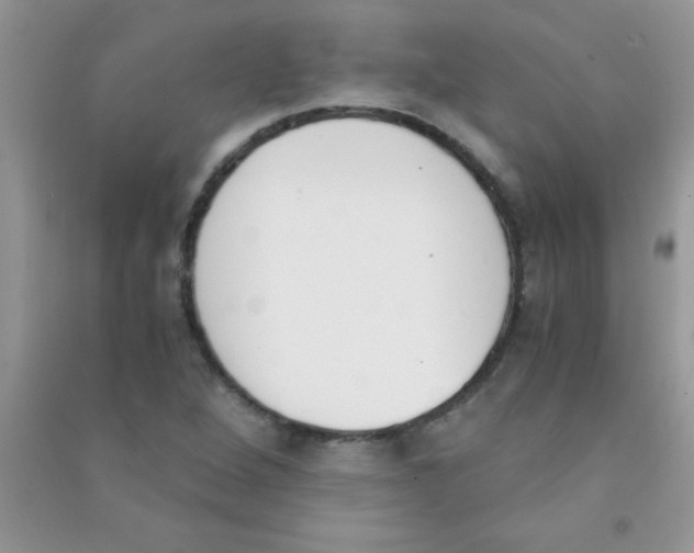 X0000090741264200708172000