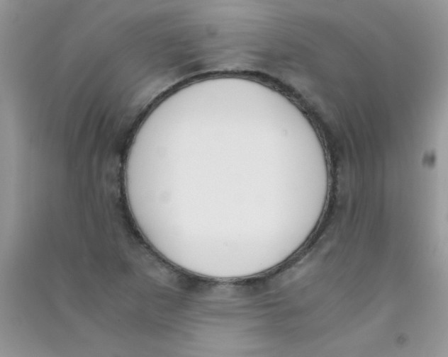 X0000090741265200708172000