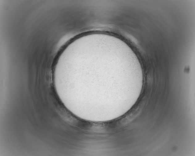 X0000090741267200708172000