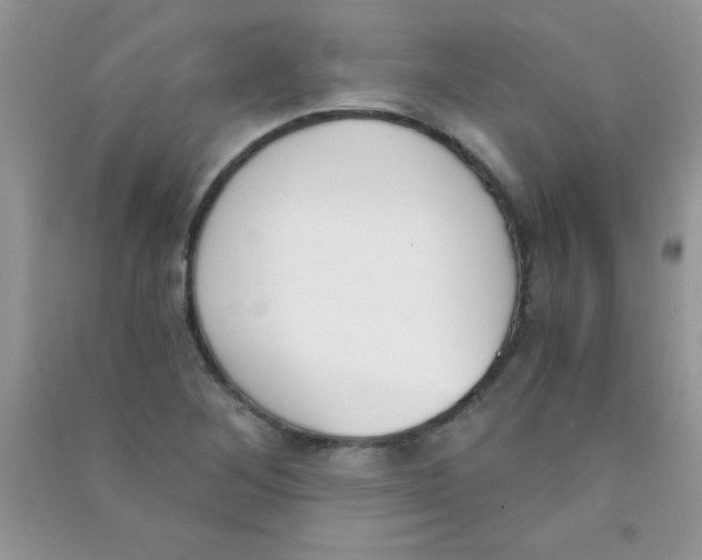 X0000090741268200708172000