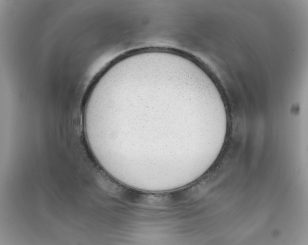 X0000090741271200708172000