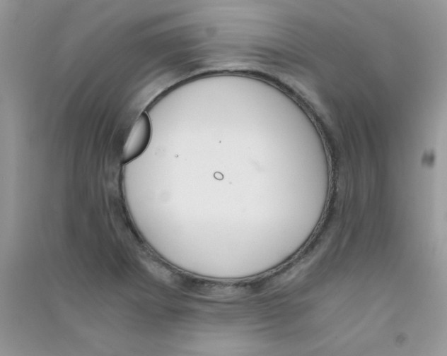 X0000090741273200708172000