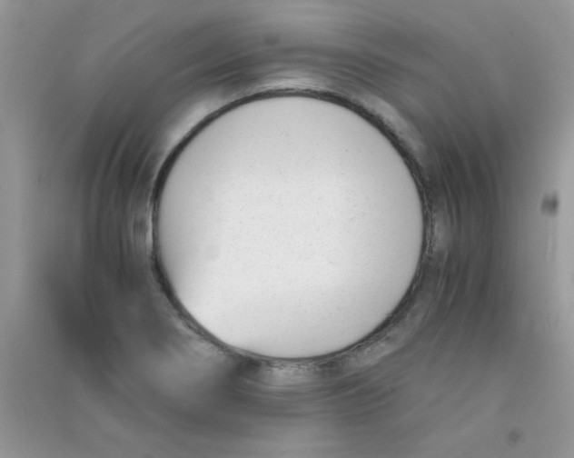 X0000090741274200708172000