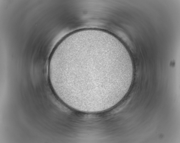 X0000090741275200708172000