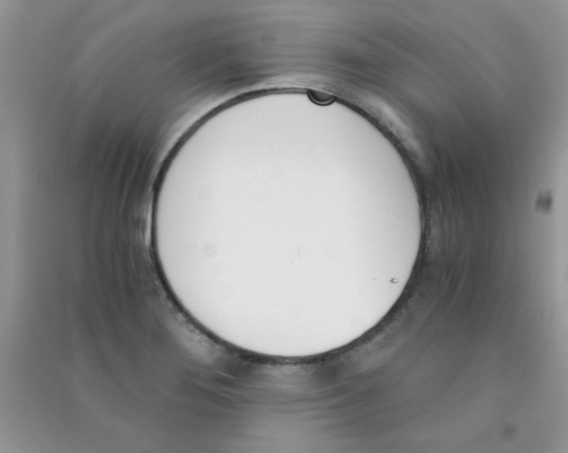 X0000090741276200708172000