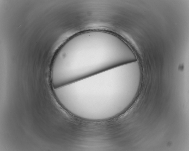 X0000090741277200708172000