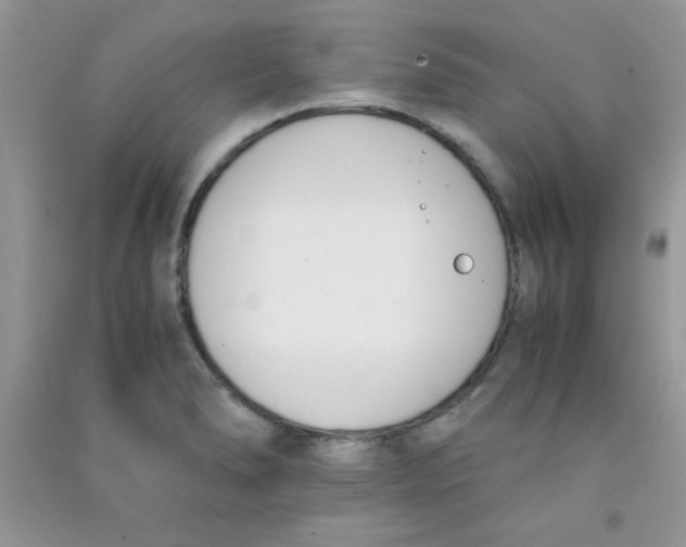 X0000090741278200708172000