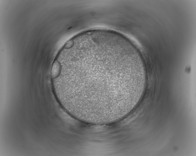 X0000090741279200708172000