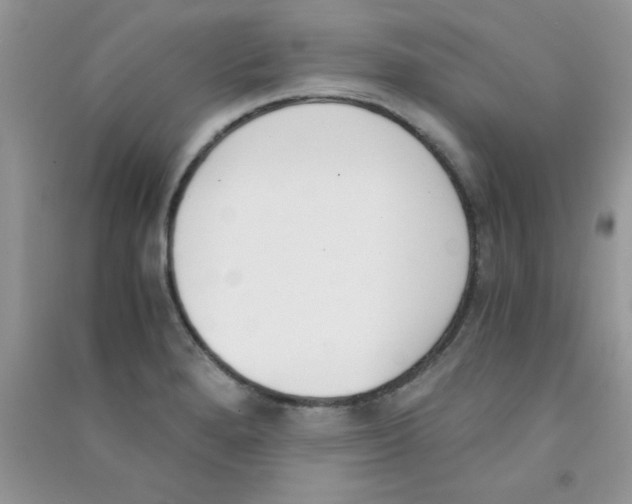 X0000090741280200708172000