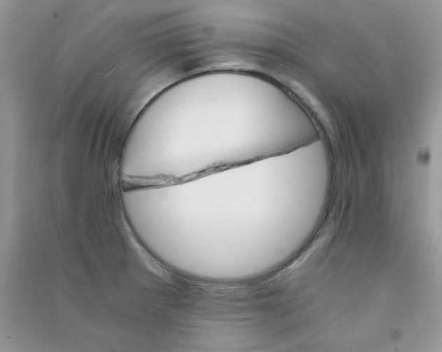 X0000090741281200708172000