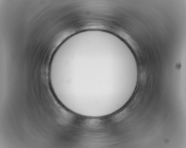 X0000090741282200708172000