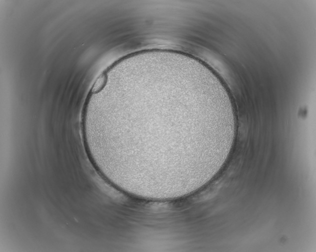 X0000090741283200708172000