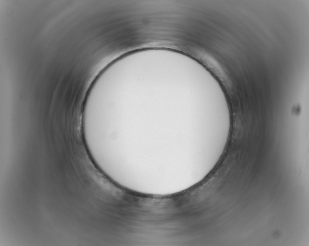 X0000090741284200708172000