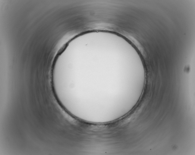 X0000090741285200708172000