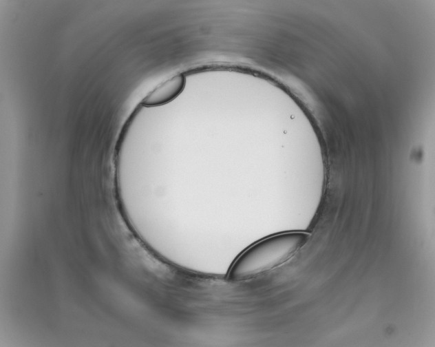 X0000090741287200708172000