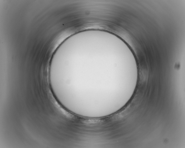 X0000090741290200708172000