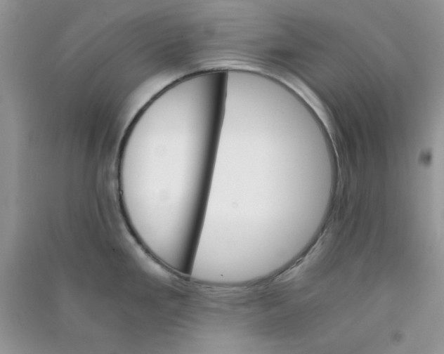 X0000090741293200708172000