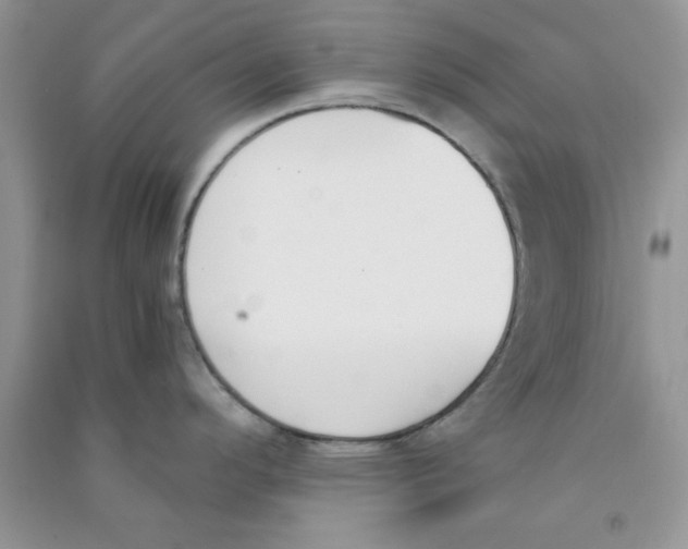 X0000090741296200708172000