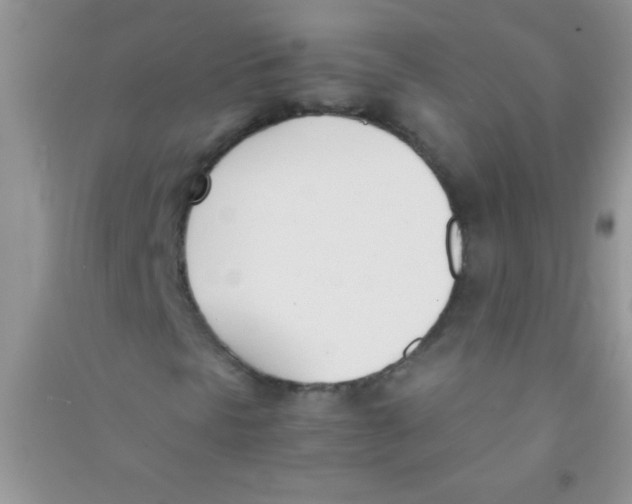 X0000090741297200708171959