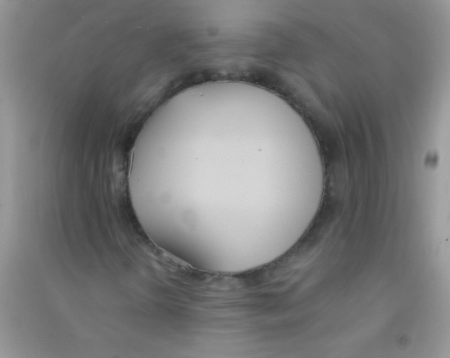 X0000090741298200708171959