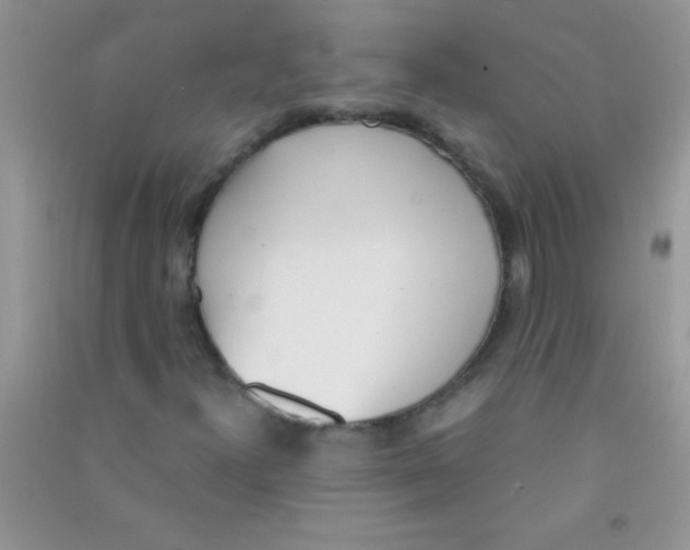 X0000090741300200708171959