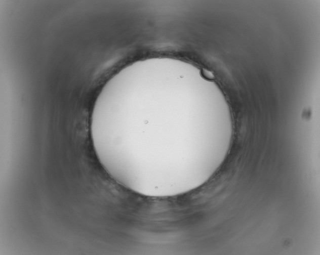 X0000090741301200708171959