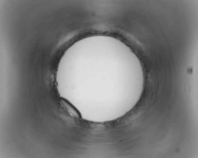 X0000090741302200708171959