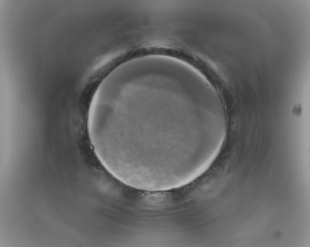 X0000090741303200708171959