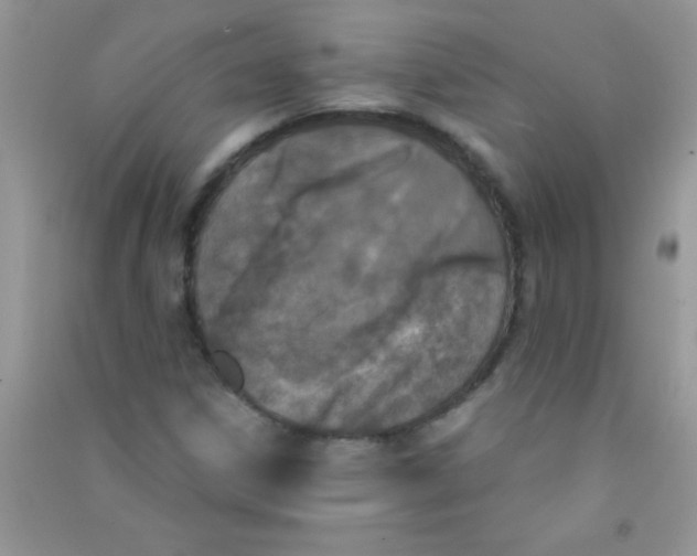 X0000090741306200708171959