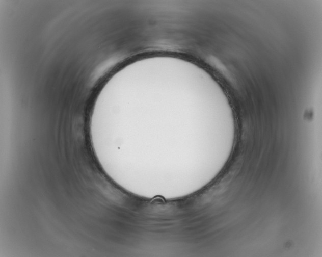 X0000090741307200708171959