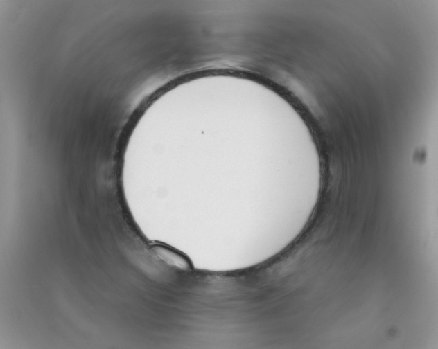 X0000090741308200708171959