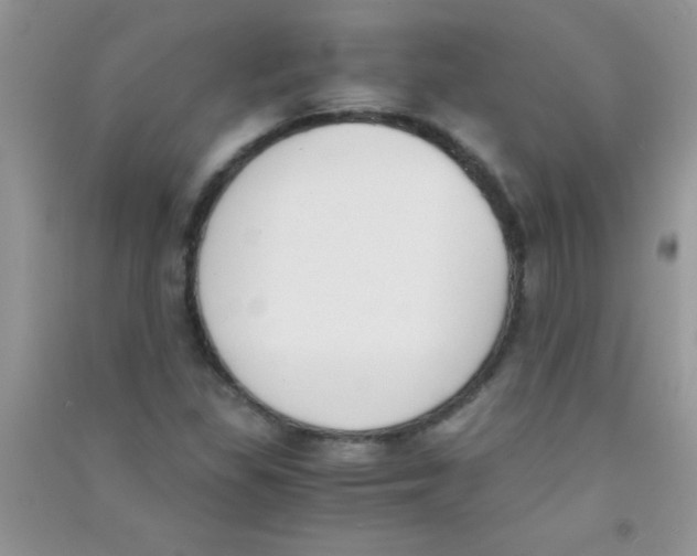 X0000090741309200708171959