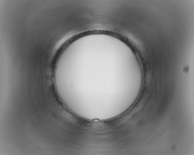 X0000090741310200708171959