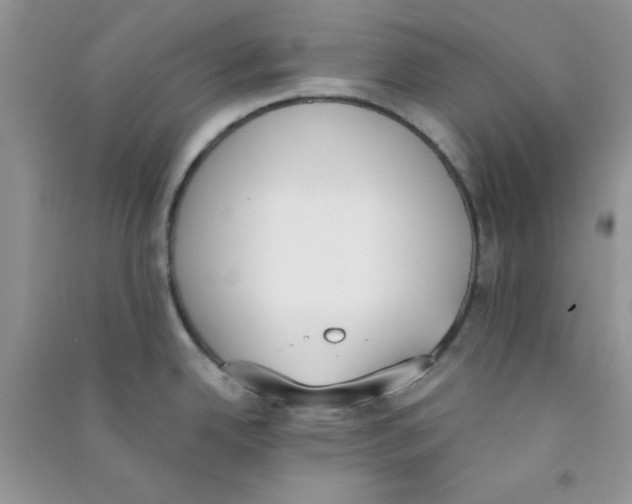 X0000090741342200708172000