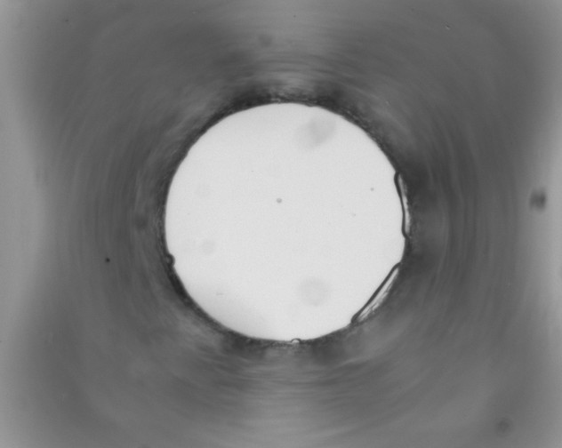 X0000090741345200708171959