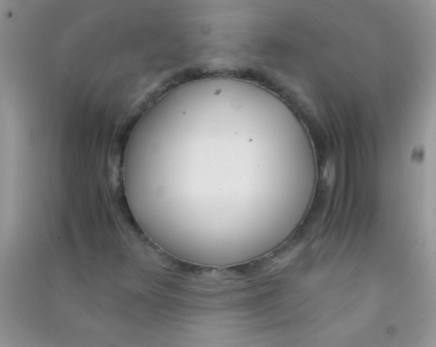 X0000090741348200708171959