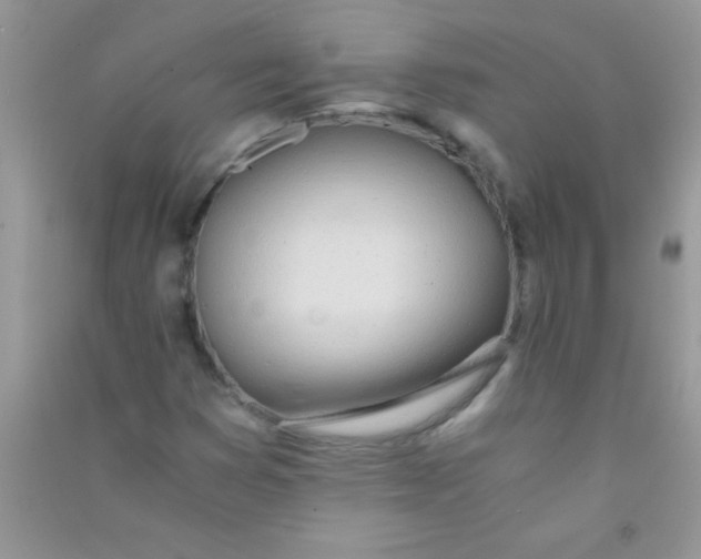 X0000090741353200708171959