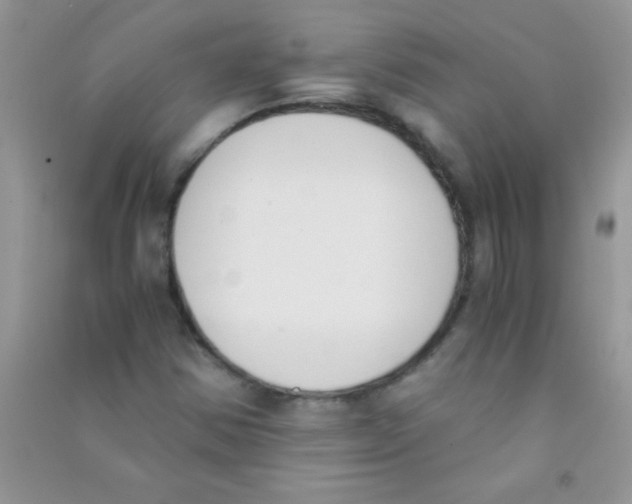 X0000090741354200708171959