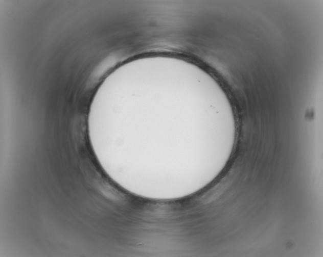 X0000090741355200708171959