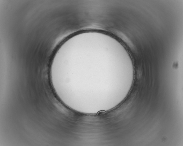 X0000090741356200708171959